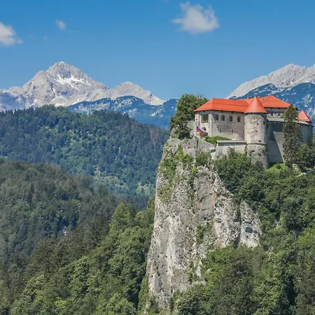Amigo Apartment Bled